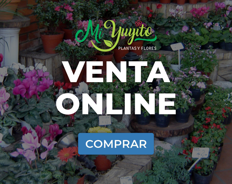 venta online